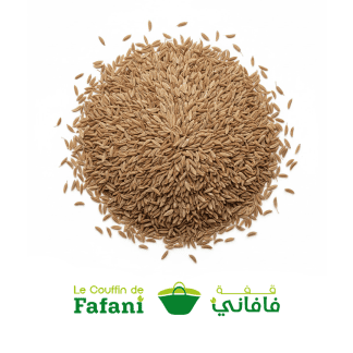cumin en grains كمون كعب