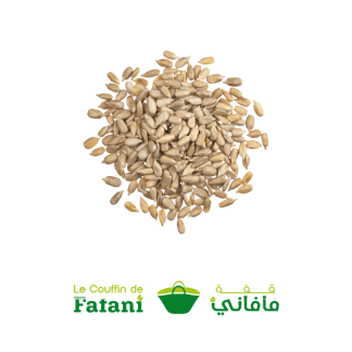graines de tournesol décortiquées بذور عباد الشمس مقشرة