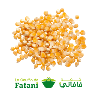 Maïs en grains - قطانية